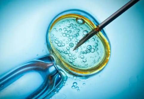多囊卵巢可以做试管婴儿吗,多囊卵巢做试管婴儿成功率高吗